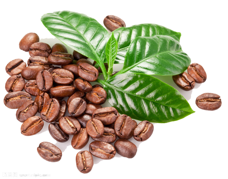 قهوه 70-30 روبوستایی